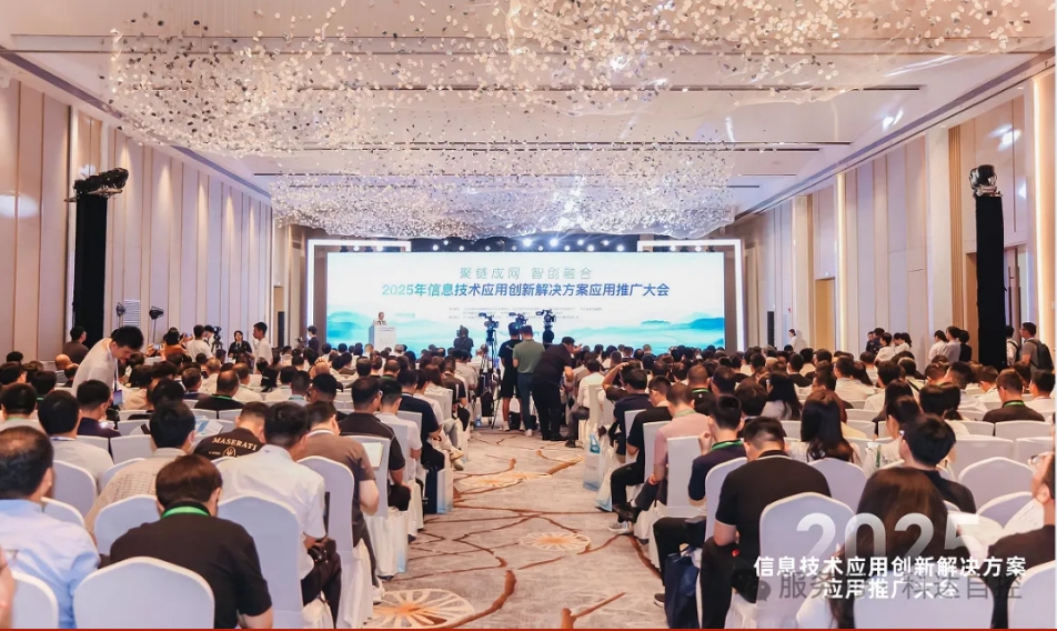 恭喜星空网页版登录入口入围“2024年信息技术应用创新典型解决方案”